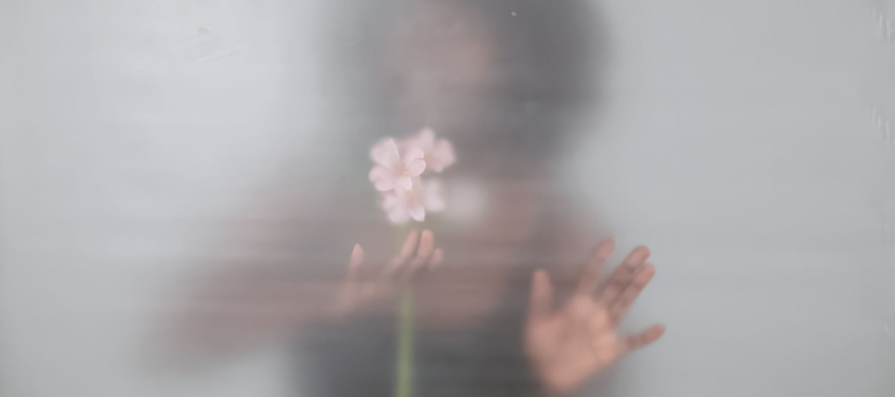 Fehlgeburt - Wenn sich der Kinderwunsch wiederholt zerschlägt