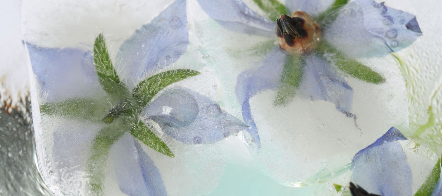 Hitze in der Schwangerschaft: Tipps für heiße Tage